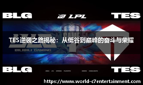 TES逆袭之路揭秘：从低谷到巅峰的奋斗与荣耀